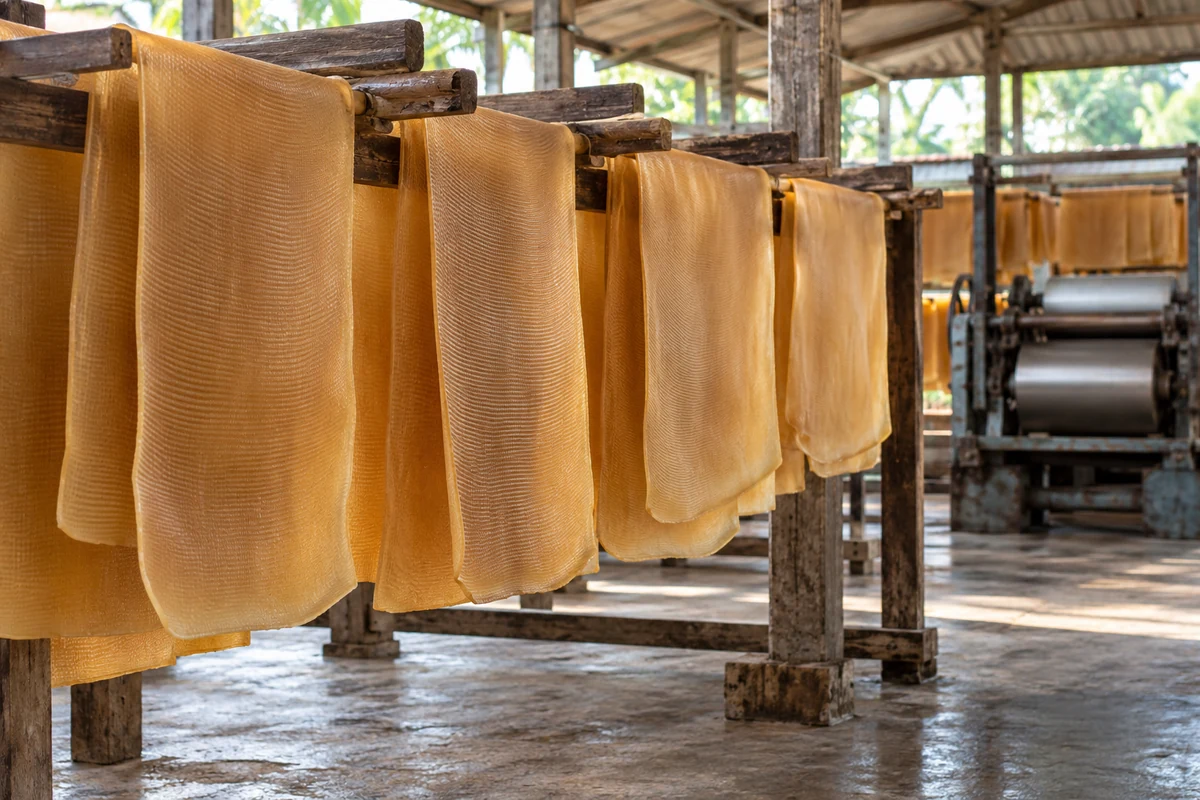 Natural rubber sheets in a processing workshop
