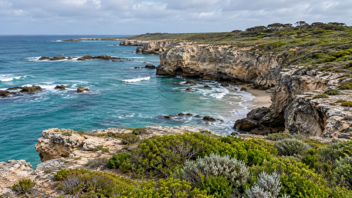 Limestone Coast landscape in South Australia